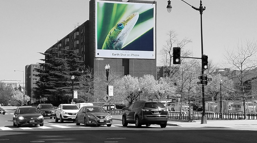 Washington Wallscape 002 Capitol Outdoor